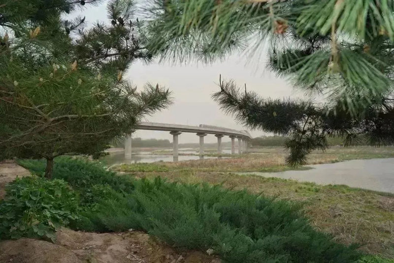 微信图片_20221212105002.jpg