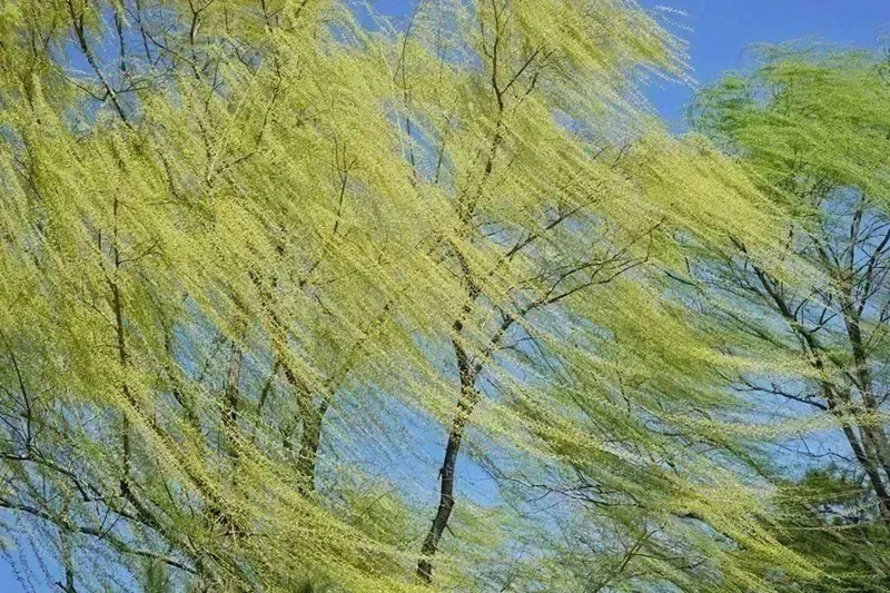 微信图片_20221212105005.jpg