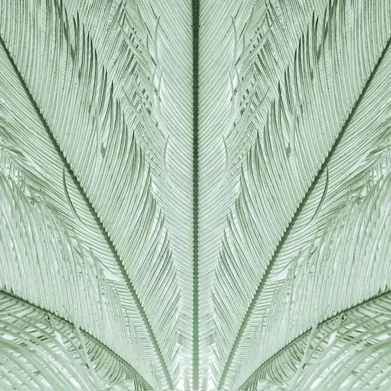 微信图片_20221212105127.jpg