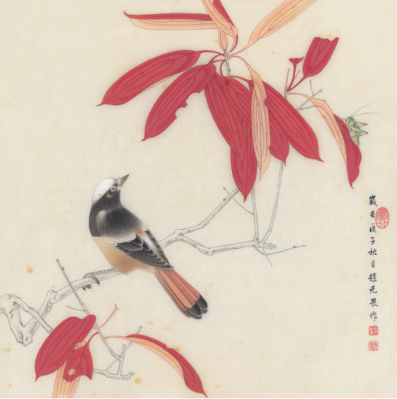 《红叶小鸟》赵无畏（重庆馆 馆员）.png