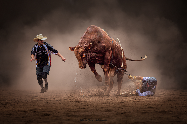 1-1don't go！-- sony world photography awards 2022 （shortlisted--motion section）.png